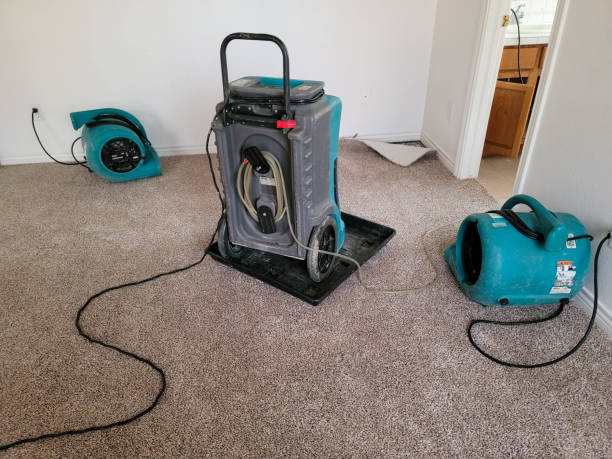 Best Sewage cleanup and water damage restoration  in Gaffney, SC