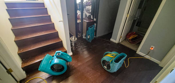 Best Water damage contractors near me  in Gaffney, SC