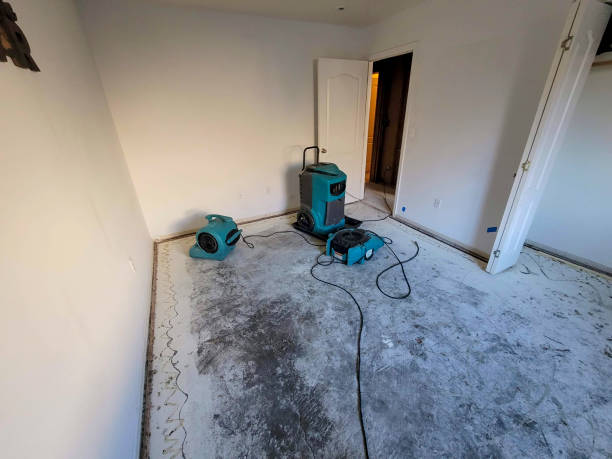 Best Ceiling water damage repair  in Gaffney, SC