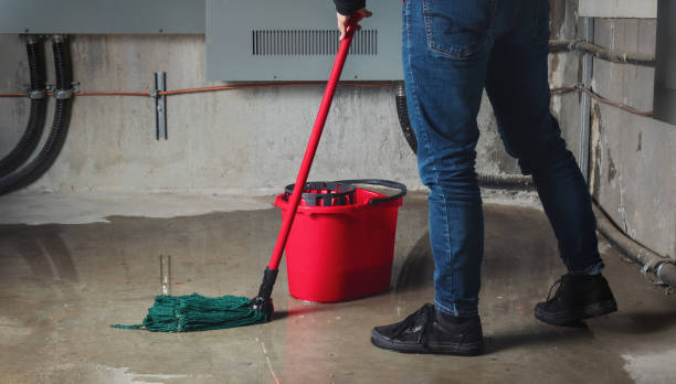 Best Water damage restoration company  in Gaffney, SC