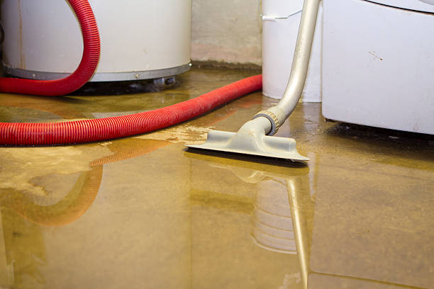 Best 24/7 water damage repair  in Gaffney, SC