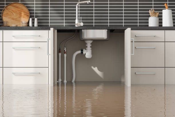 Best Water damage restoration near me  in Gaffney, SC