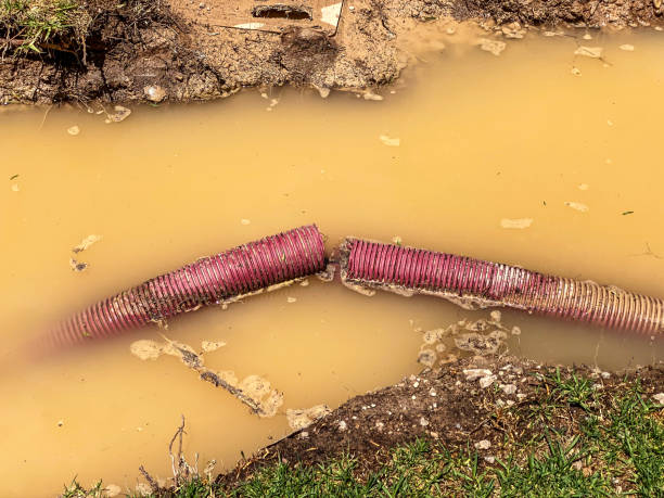 Best Carpet water damage restoration  in Gaffney, SC